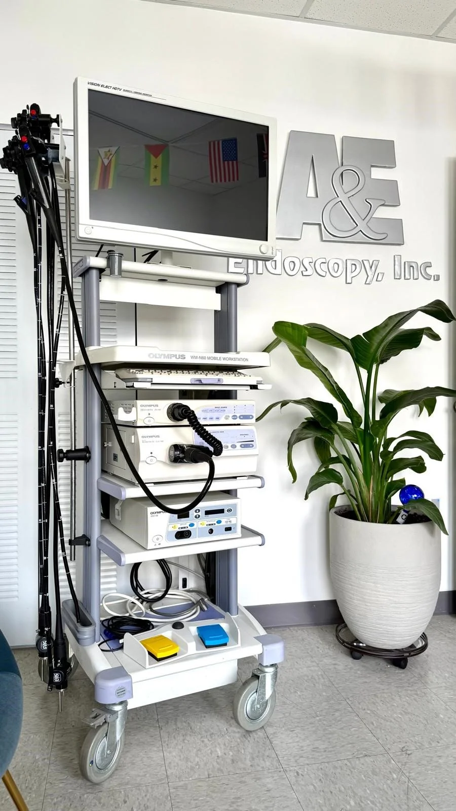 Endoscopy equipment and instruments rigid and flexible. Different
